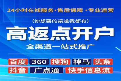 SEM主管实战案例：广告投放策略优化